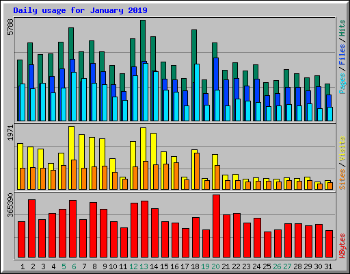 Daily usage for January 2019