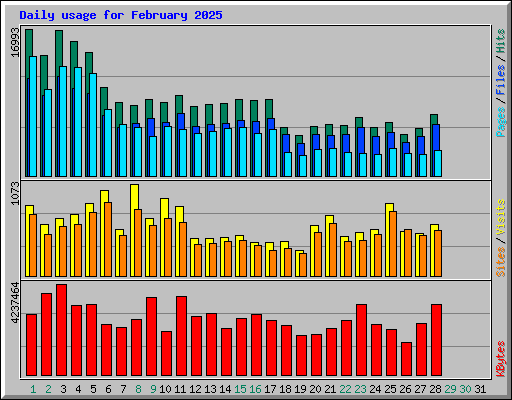 Daily usage for February 2025
