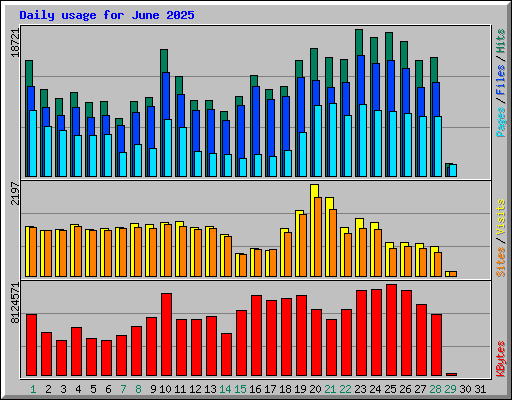 Daily usage for June 2025