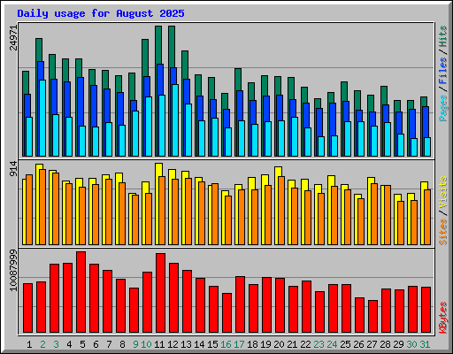 Daily usage for August 2025