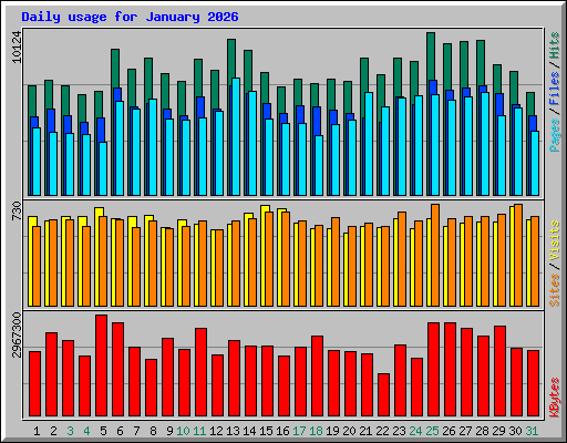 Daily usage for January 2026