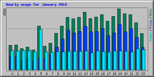 Hourly usage for January 2019