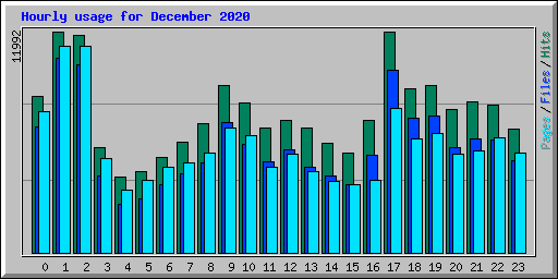 Hourly usage for December 2020
