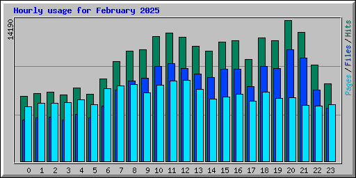 Hourly usage for February 2025
