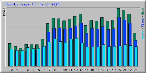 Hourly usage for March 2025
