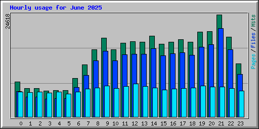 Hourly usage for June 2025