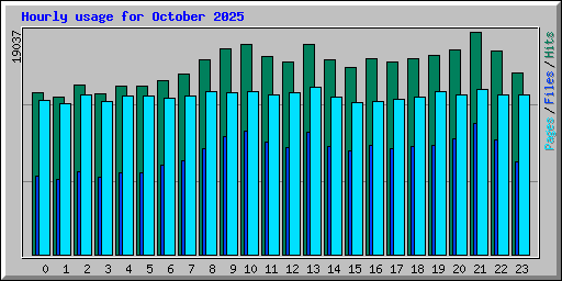 Hourly usage for October 2025
