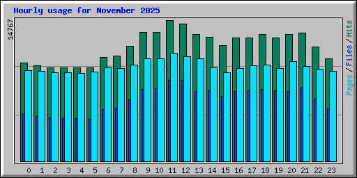 Hourly usage for November 2025