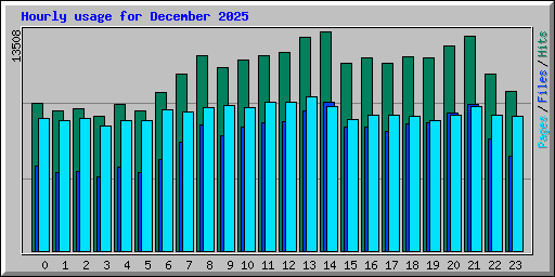 Hourly usage for December 2025