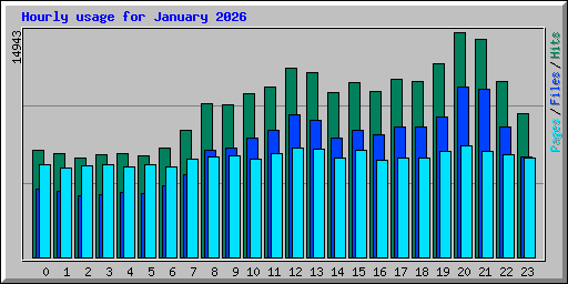 Hourly usage for January 2026